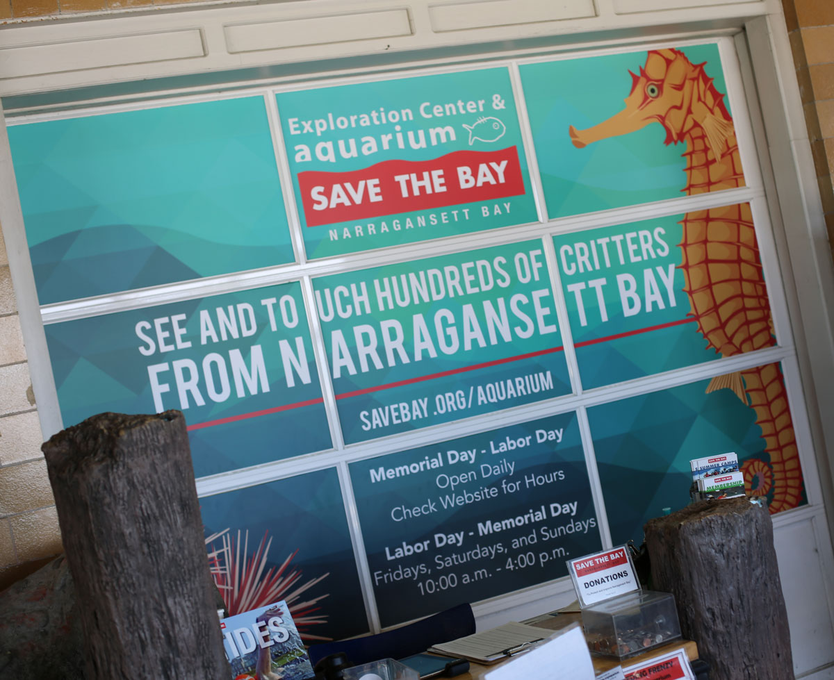Save the Bay